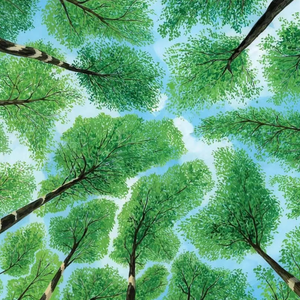 卓仕琳脱了内裤求被c视频
